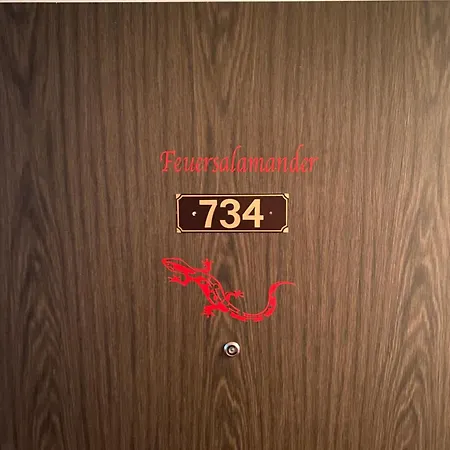 Feuersalamander Am Predigtstuhl 公寓 圣恩吉玛